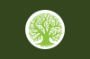 Plantae