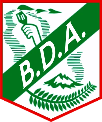 Brigada DA